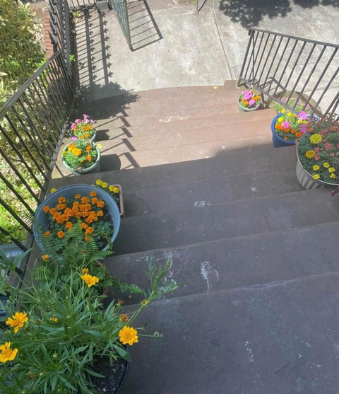 BedStuy Stoop Sales for July 20 & 21