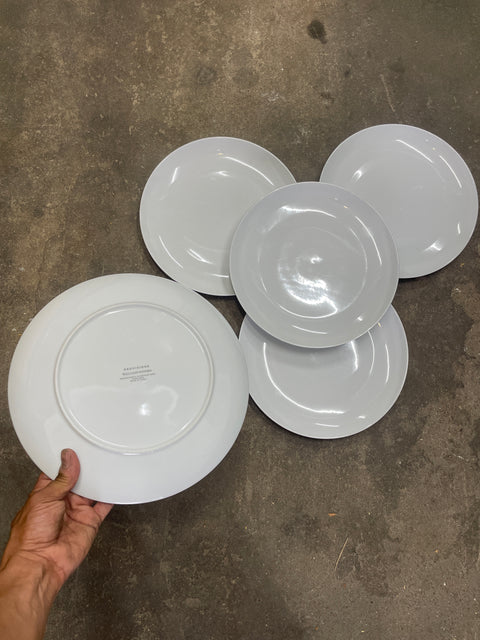 Williams-Sonoma 5 Dinner Plates