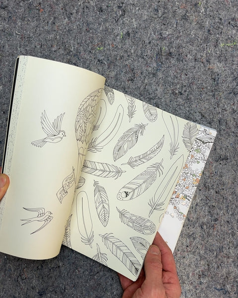 Enchanted Forest and The Time Garden Coloring Books