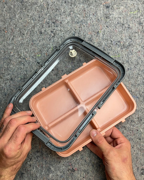 Pink Divided Flat Snack Container with Clear Lid