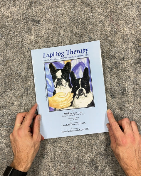 LapDog Therapy by Mickey C.G.C., T.D.I