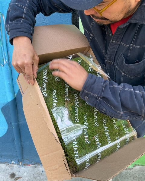 A Whole Box Of SuperMoss Preserved Moss