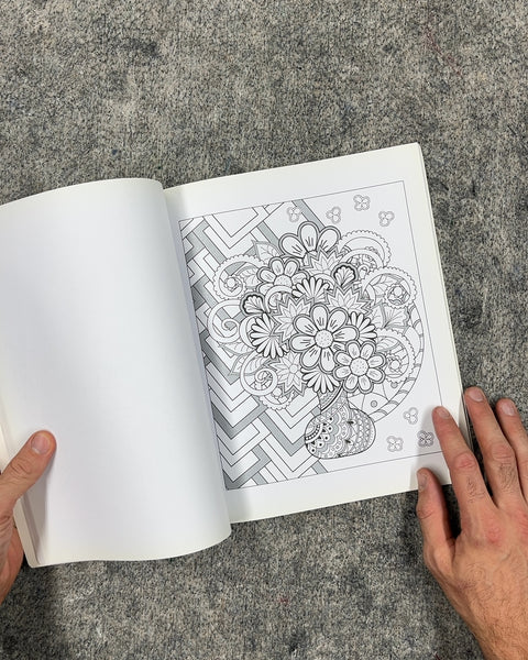 The Silver Coloring Book Elegant Shimmering Designs