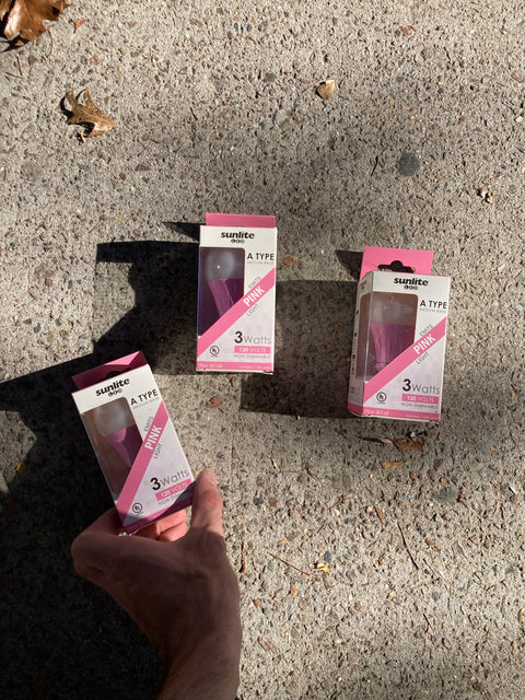 Three Sunlite Pink Bulbs, Brand New