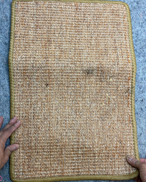 Small Woven Area Rug, Yx23"