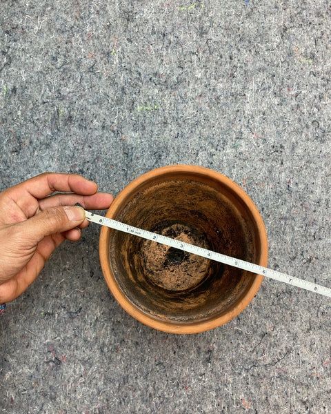 Terracotta Clay Pot