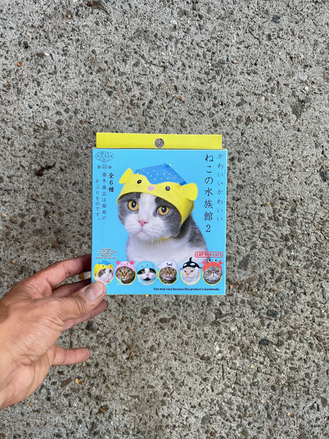 Hat for Donut