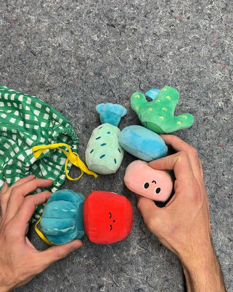 Manhattan Toy Cactus Garden Mix & Match Magnetic Plush