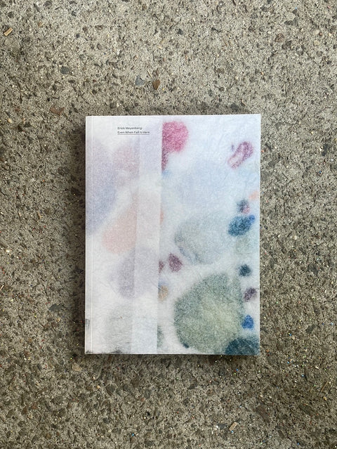 Erick Meyenberg Art Book