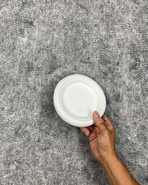 Some Paper Plates