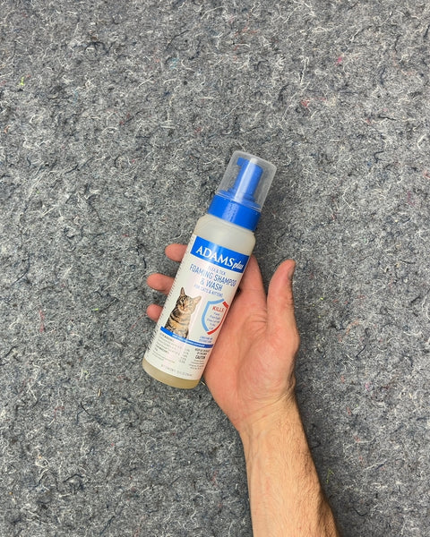 Adams Plus Flea & Tick Foaming Shampoo & Wash for Cats & Kittens