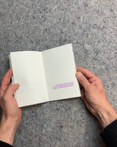 The Mysterious Shrimp: A Book to Illustrate