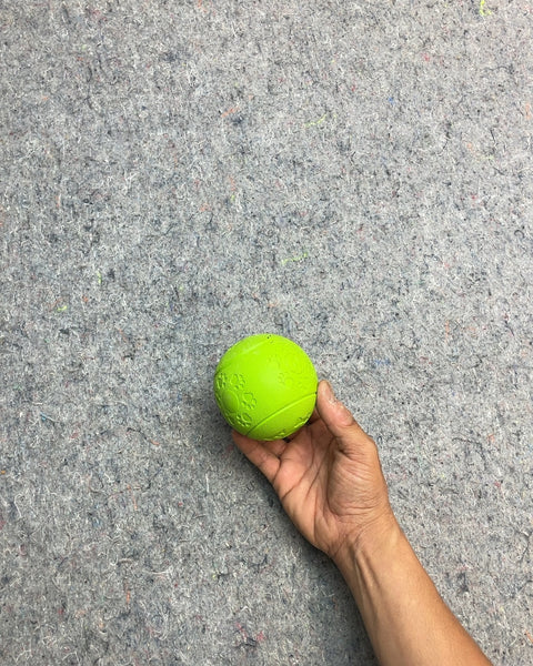 Lime Green Pet Play Ball
