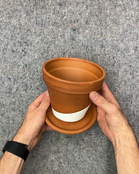 Terracotta Plant Pot with Saucer, 6"
