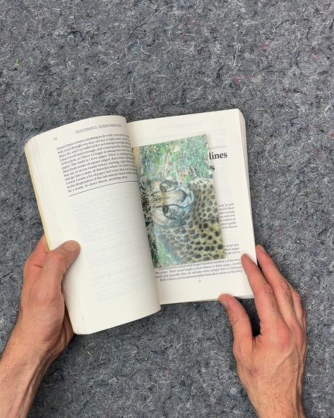 Successful Scriptwriting by Jorgen Wolff and Kerry Cox