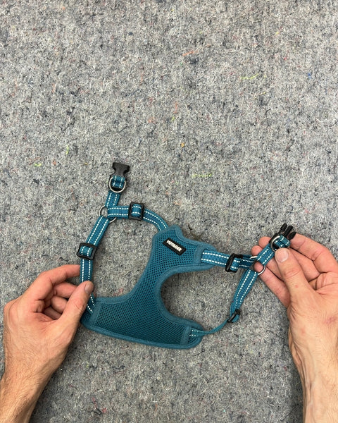 Blue Mesh Voyager Dog Harness, Size S