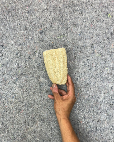 Natural Loofah Sponge