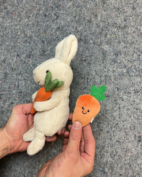 Cute Rabbit Plush with An Extra Carrot