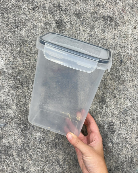 Clear Plastic Food Storage Container, 6 x 3 x 8 in