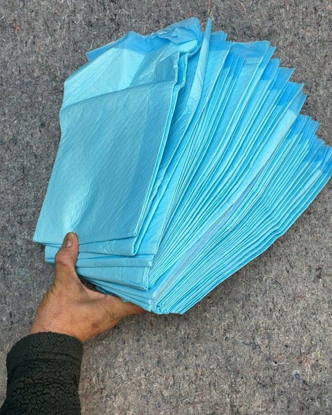 All Absorb Training Pads for Pets, 50 Count