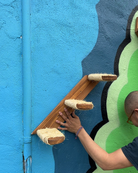 3 Cat Wall Steps + Another One Harder To Reach