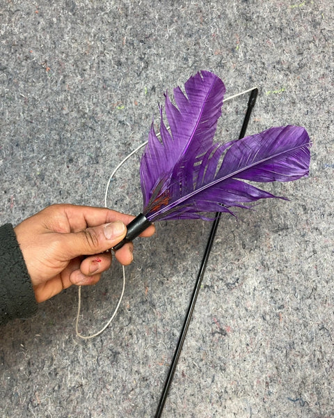 Feather Wand Cat Toy