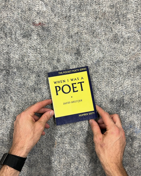 When I Was a Poet by David Meltzer