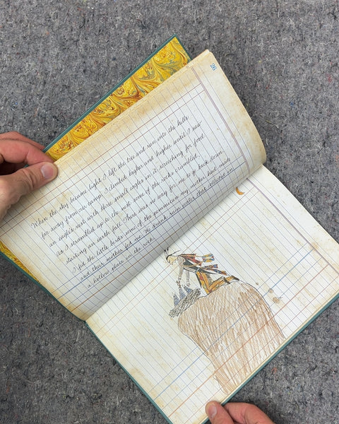 The Ledgerbook of Thomas Blue Eagle by Paul Goble