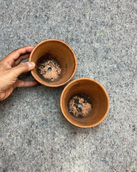 Two Terracotta Clay Flower Pots