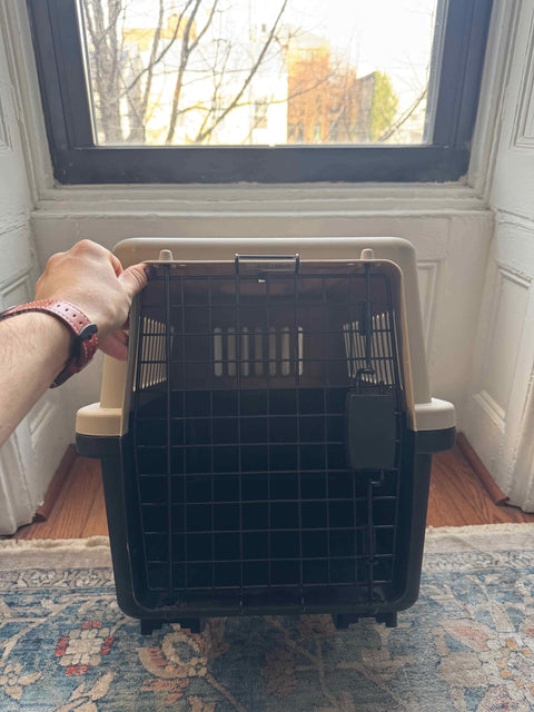 Another Hard Case Pet Carrier Crate, H16xW15xL23"