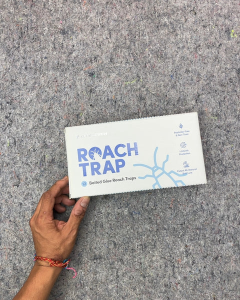 Shield Deck Roach Trap 12-Pack