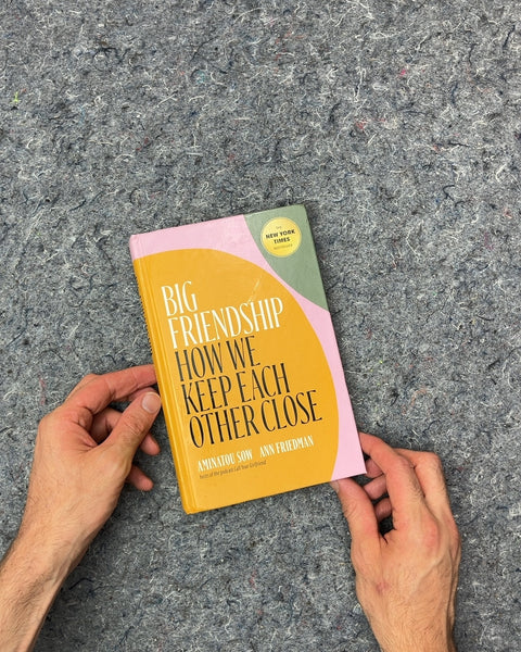 Big Friendship: How We Keep Each Other Close by Aminatou Sow and Ann Friedman