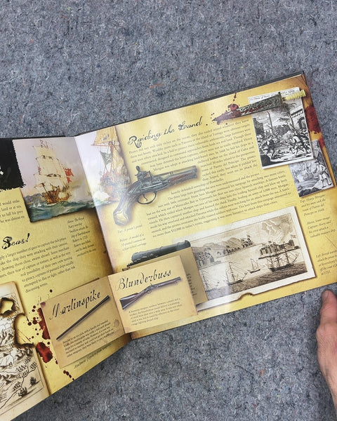 Pirates by John Matthews