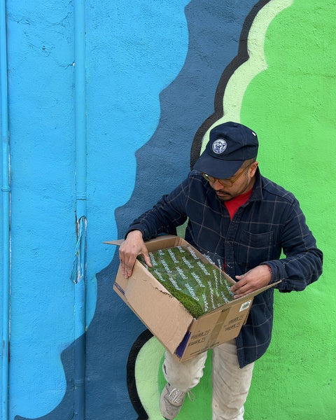 A Whole Box Of SuperMoss Preserved Moss