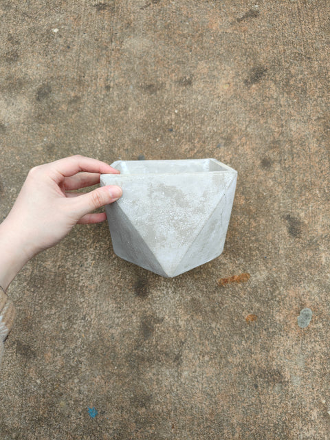 Modern Concrete Planter