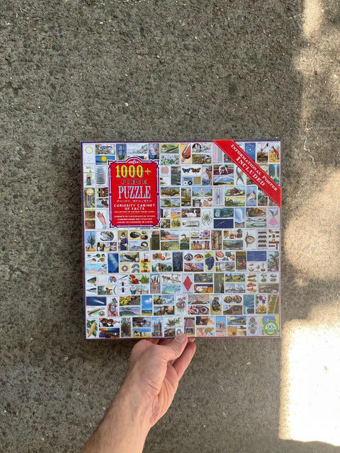 1000+ Piece Curiosity Puzzle