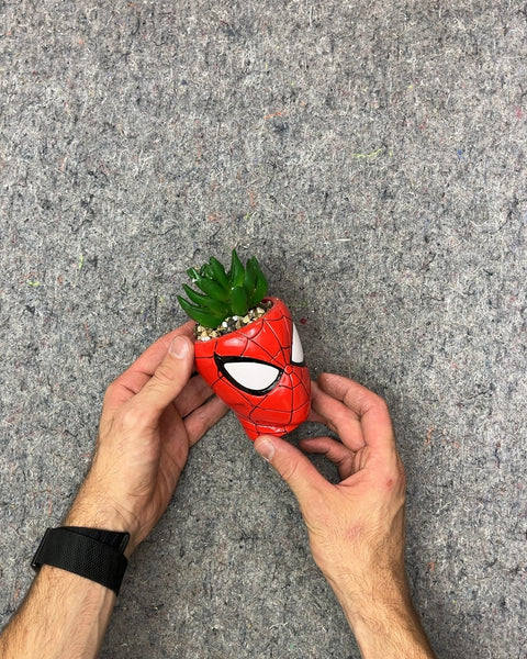 Spider-Man Head Planter with Faux Succulent