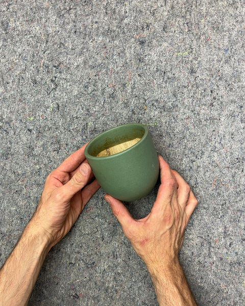 The Sill Green Ceramic Planter, W4"