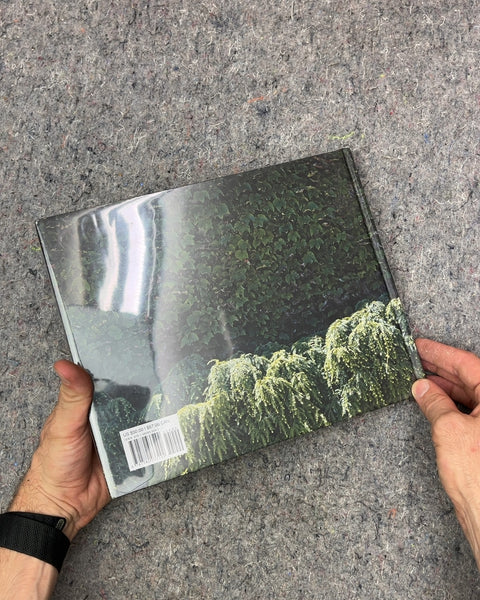 Paula Hayes Art Book
