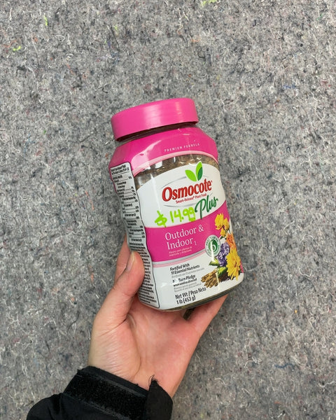 Osmocote Plus Outdoor & Indoor Plant Food