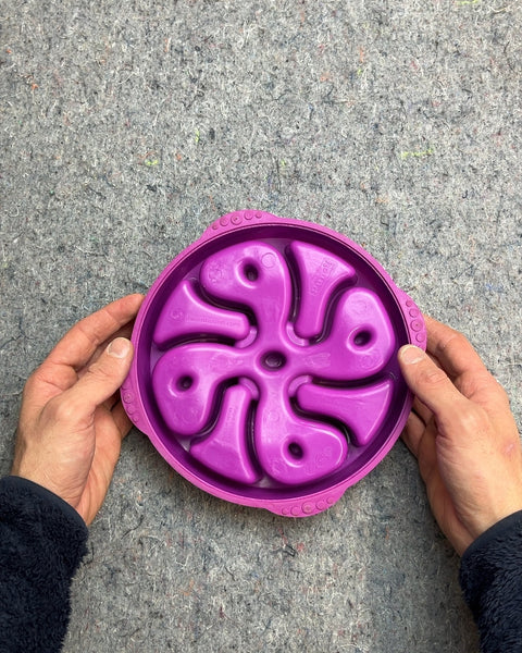 Purple Slow Feeder Pet Bowl