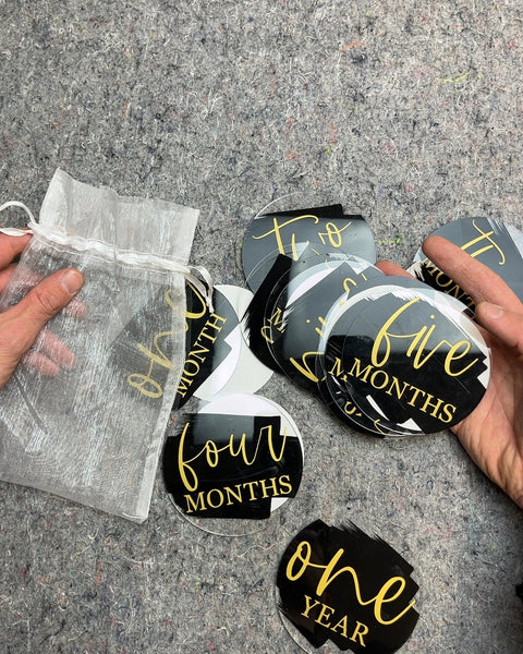 Baby Monthly Milestone Photo Prop Discs