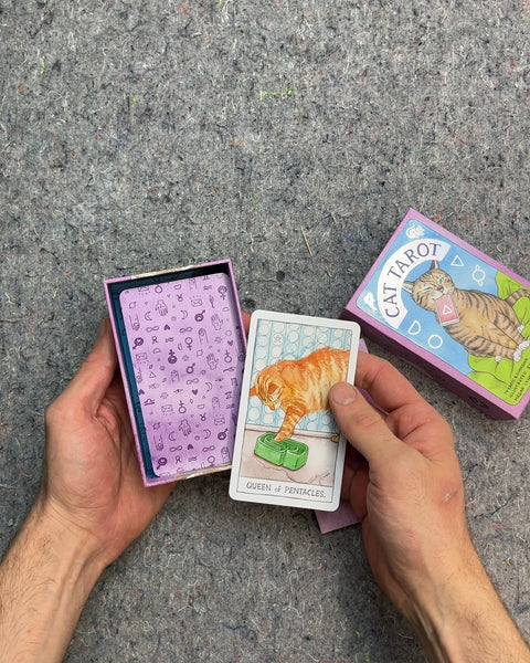 Cat Tarot Card Deck