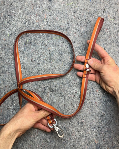 Frisco Dog Leash, 65"