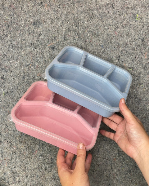 Pink and Blue Divided Lunch Boxes