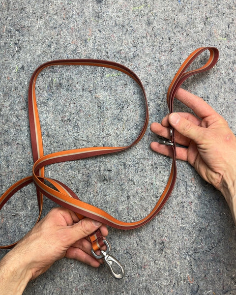 Frisco Dog Leash, 65"