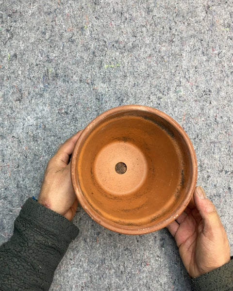 Terracotta Clay Pot with Saucer