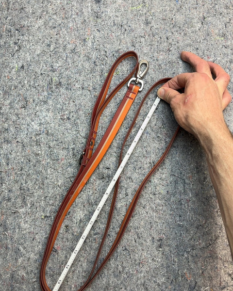 Frisco Dog Leash, 65"