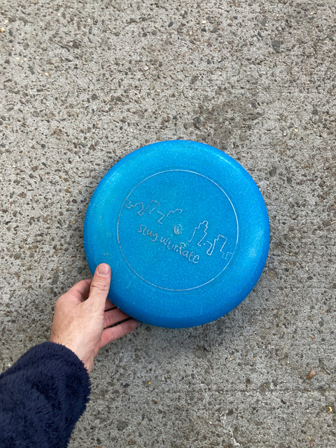 Just A Blue Frisbee!