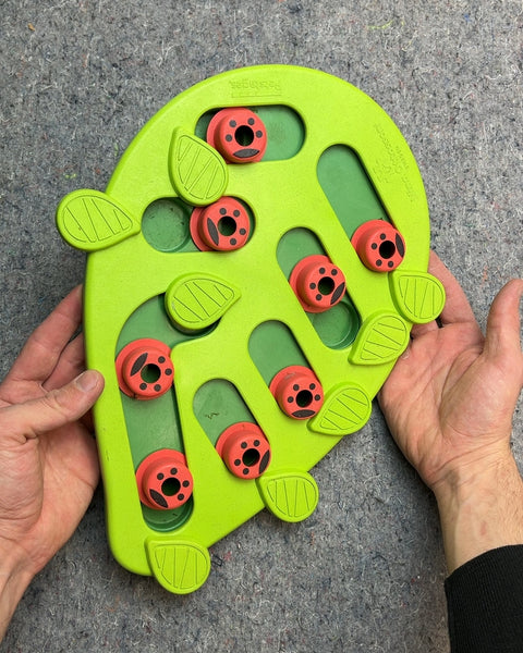 Green and Orange Pet Puzzle Feeder
